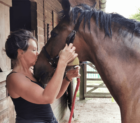 horse therapy for ms