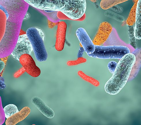 Graphic of different kinds of bacteria, featured image around significant differences in gut bacteria revealed in people with MS