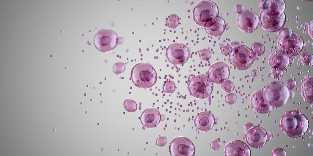 Graphic of cells diving - featured image to illustrate how nanocapsules offer hope for MS treatment in new study
