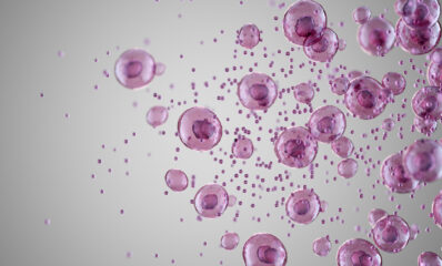 Graphic of cells diving - featured image to illustrate how nanocapsules offer hope for MS treatment in new study