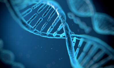 Graphic of a DNA helix, featured image to illustrate the First genetic marker for MS severity identified news story