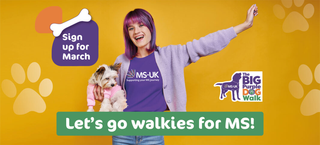 MS-UK Big Purple Dog Walk
